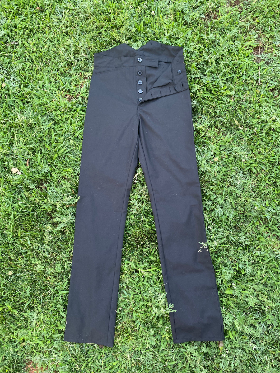Victorian Parlor Pants