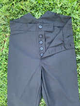 Load image into Gallery viewer, Victorian Parlor Pants
